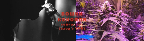 шишки Алексин