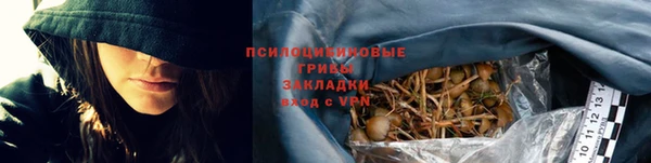 шишки Алексин