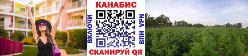 Бошки Шишки MAZAR  Обоянь 